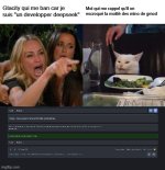 meme2conpourDfdp.jpg